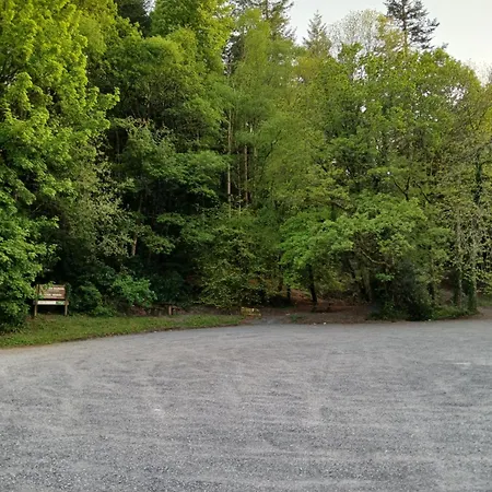 Дом отдыха The Widow's Типперэри